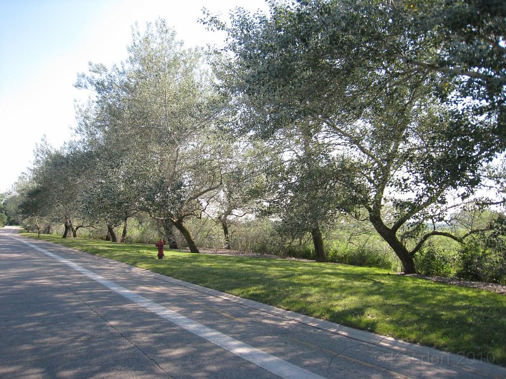 Botanical Gardens 2010 0565.jpg - The Chicago Botanic Gardens. Wear comfortable shoes, and be prepared to enjoy the landscape for a day.